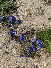 IMG 9378